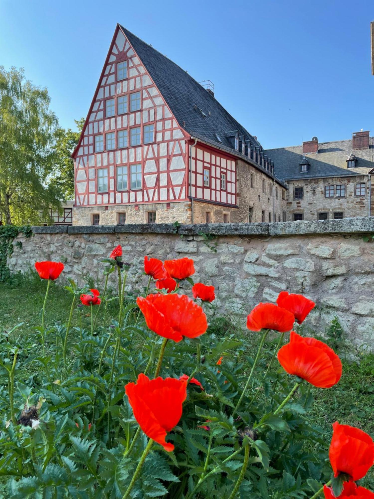 Schloss Beichlingen Екстер'єр фото