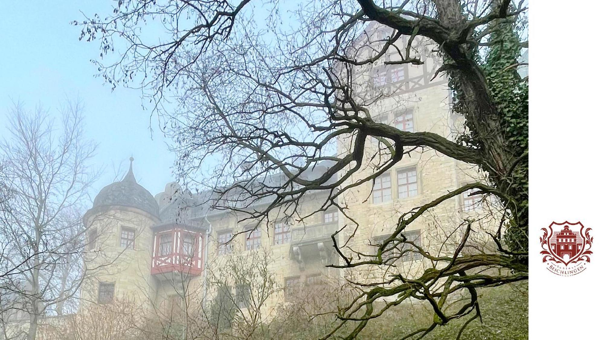 Schloss Beichlingen Екстер'єр фото