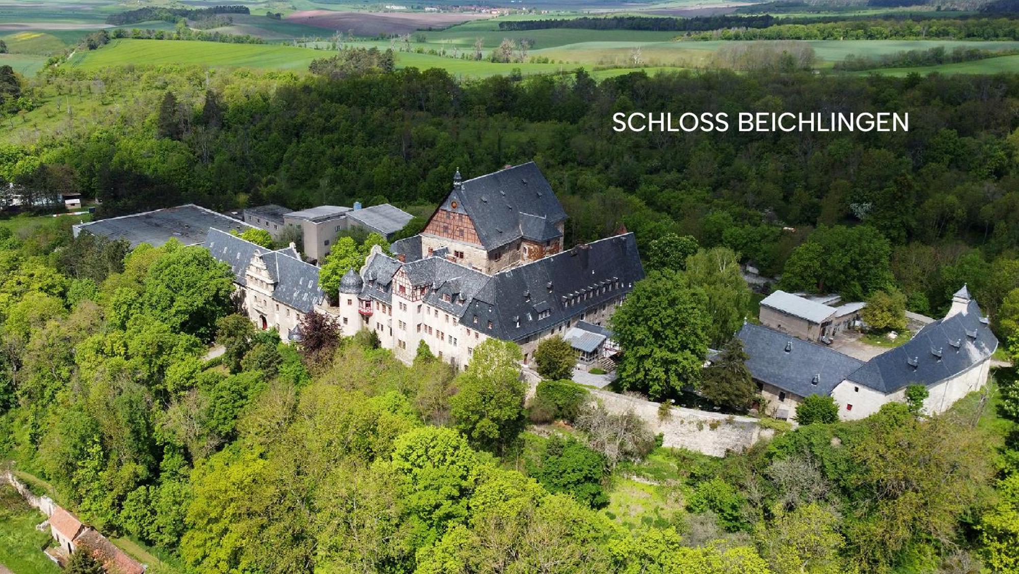 Schloss Beichlingen Екстер'єр фото